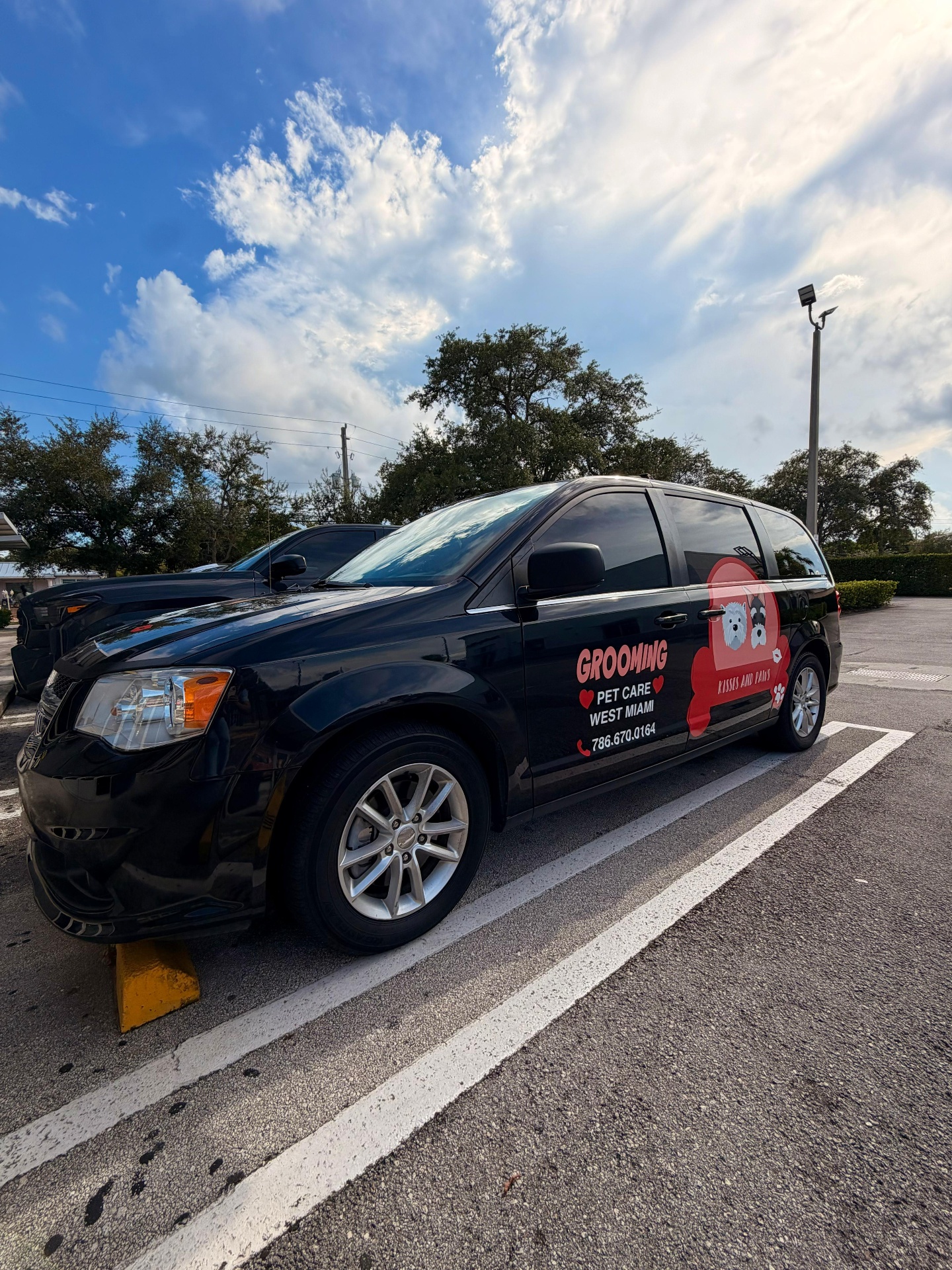 Transportation โ Home pickup at Kisses and Paws in West Miami