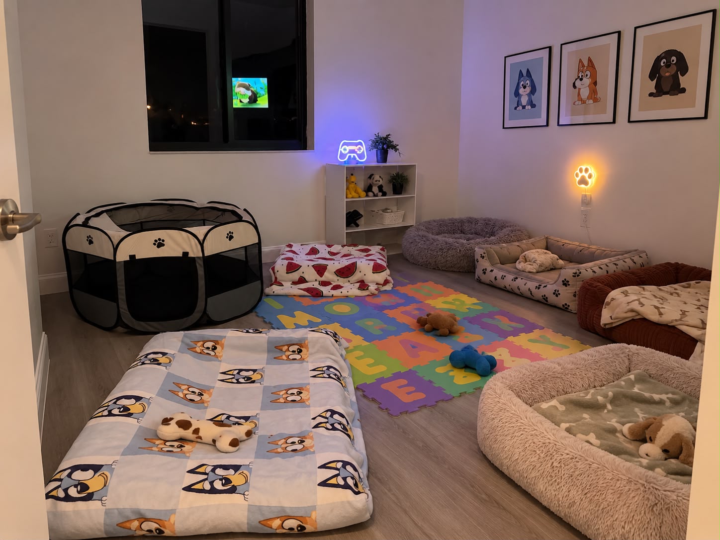 Boarding — Bedtime, all tucked in at Kisses and Paws in West Miami