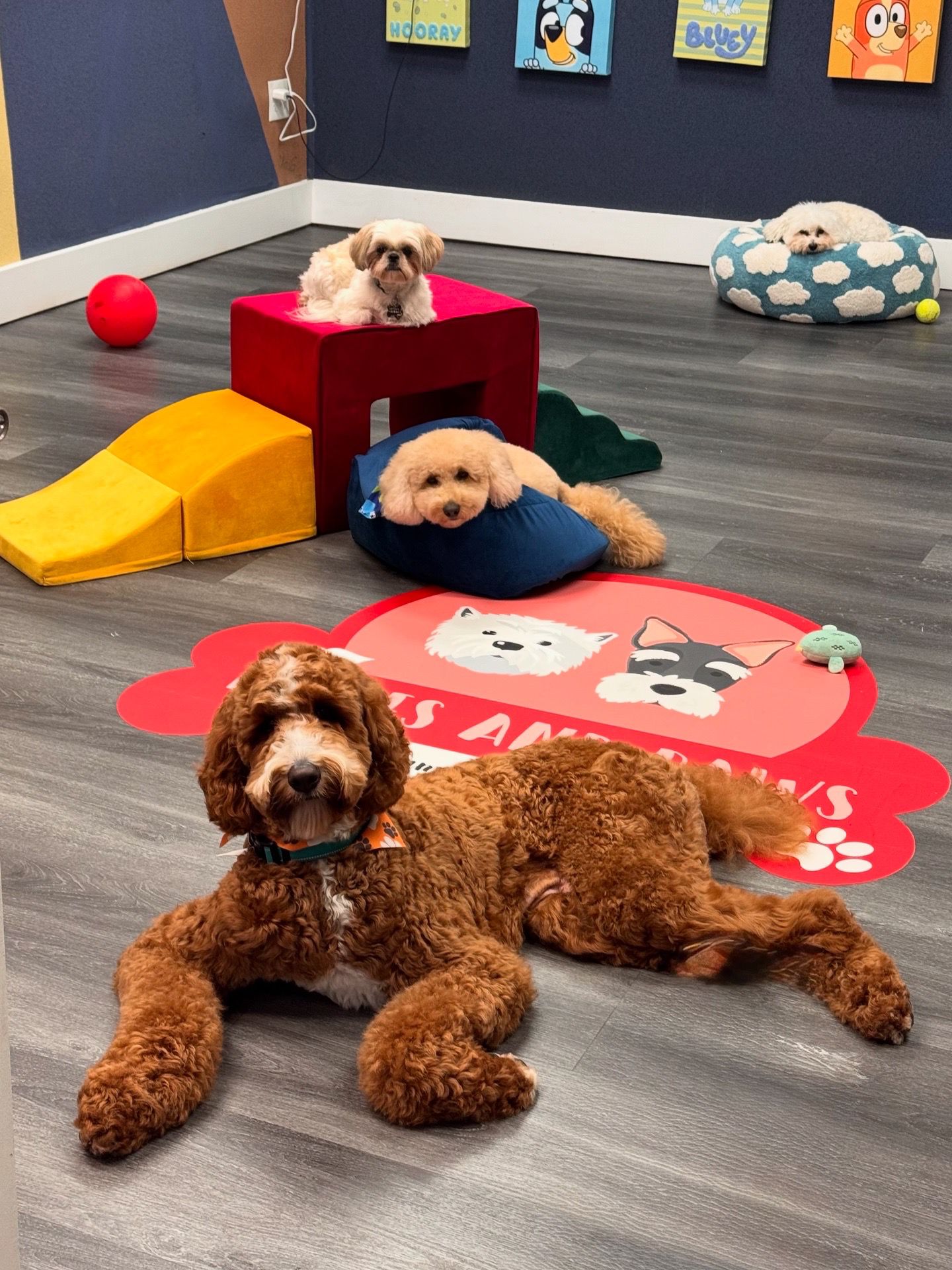 Three dogs resting on the Kisses and Paws mat and soft play furniture