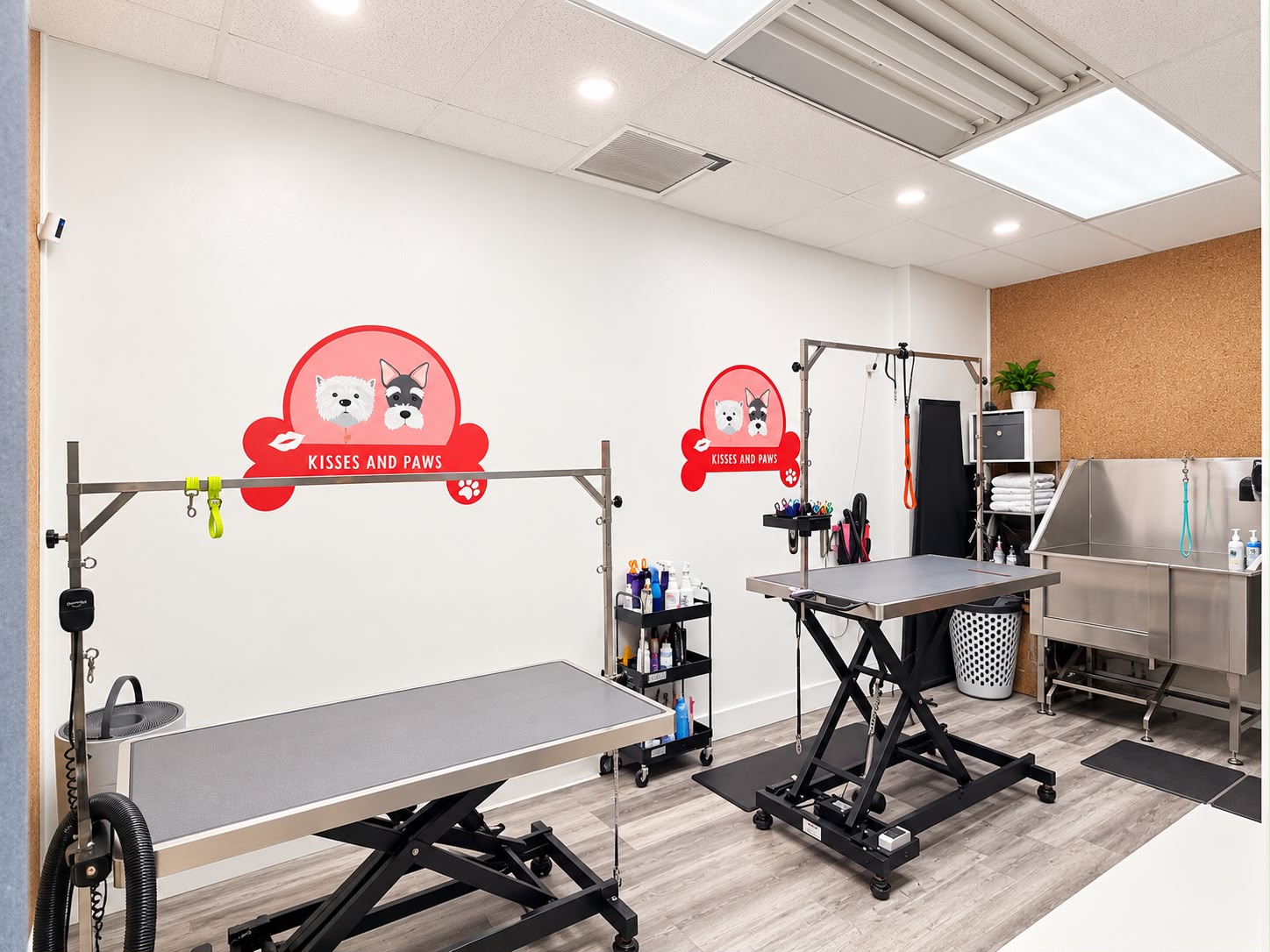Grooming room with professional tables and bathing tub