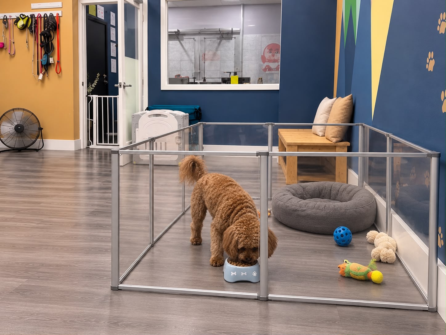 Puppy in a clean playpen with a bed and toys
